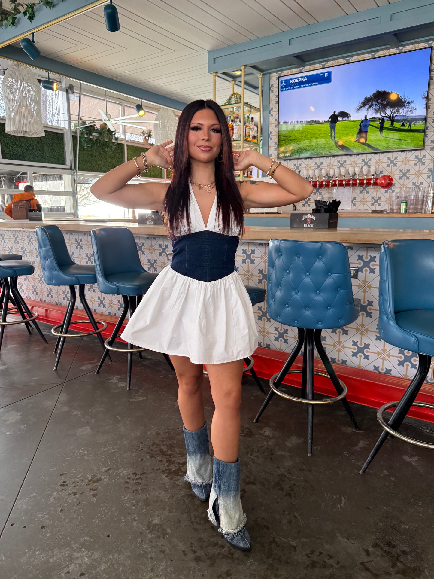 Nova Denim/Poplin Dress