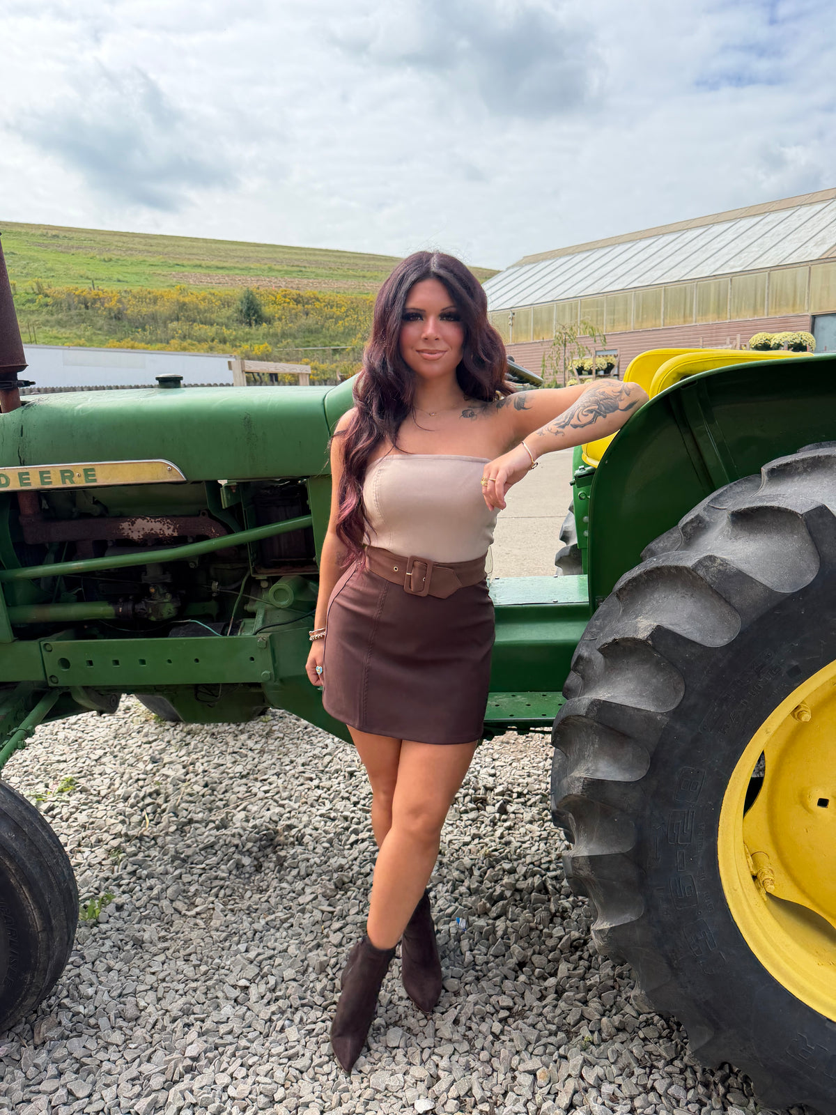 Brookie Choc Suede Dress