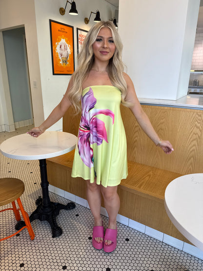 Spring Works Mini Dress