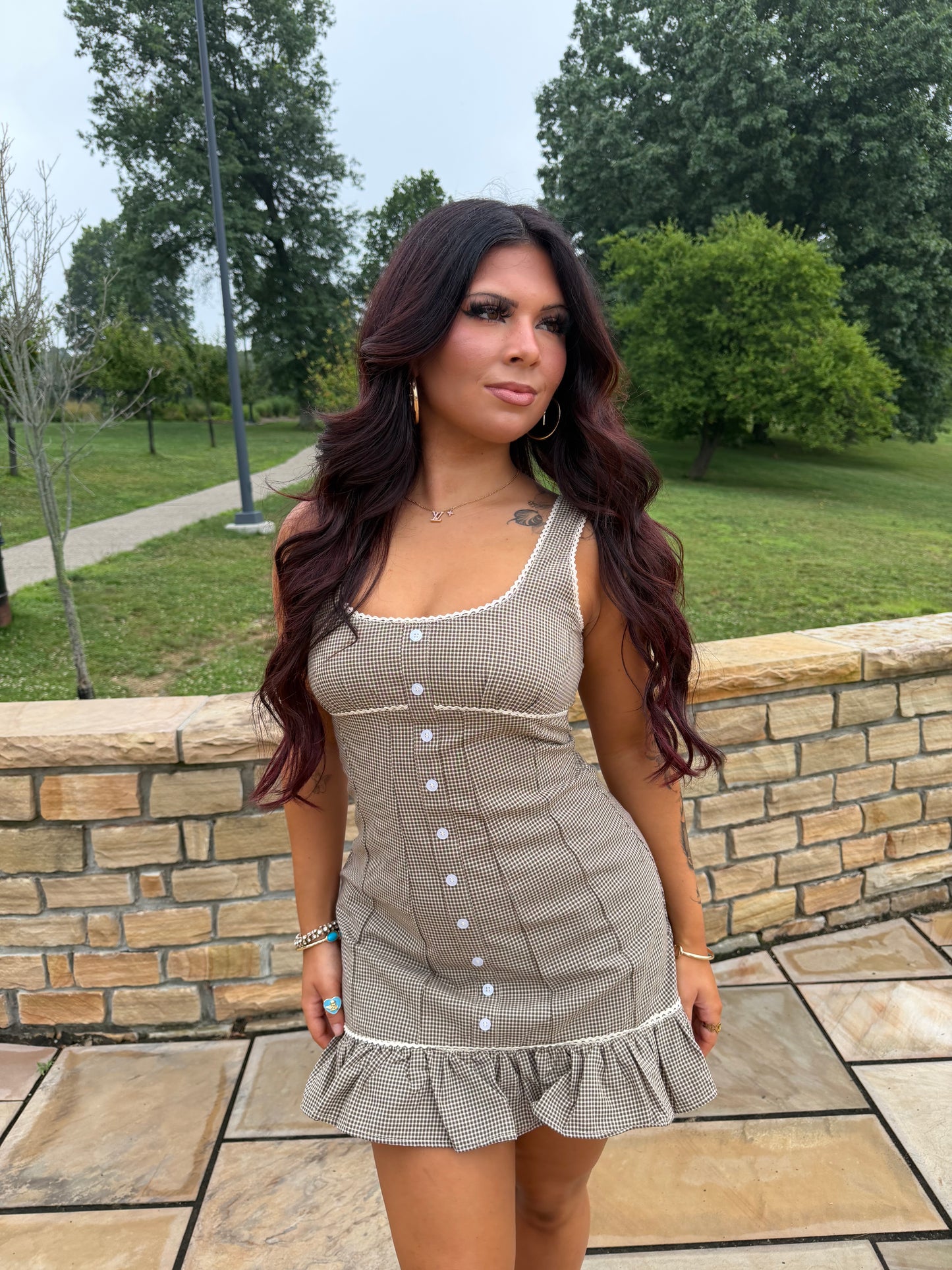 Sab Mini Dress in Brown