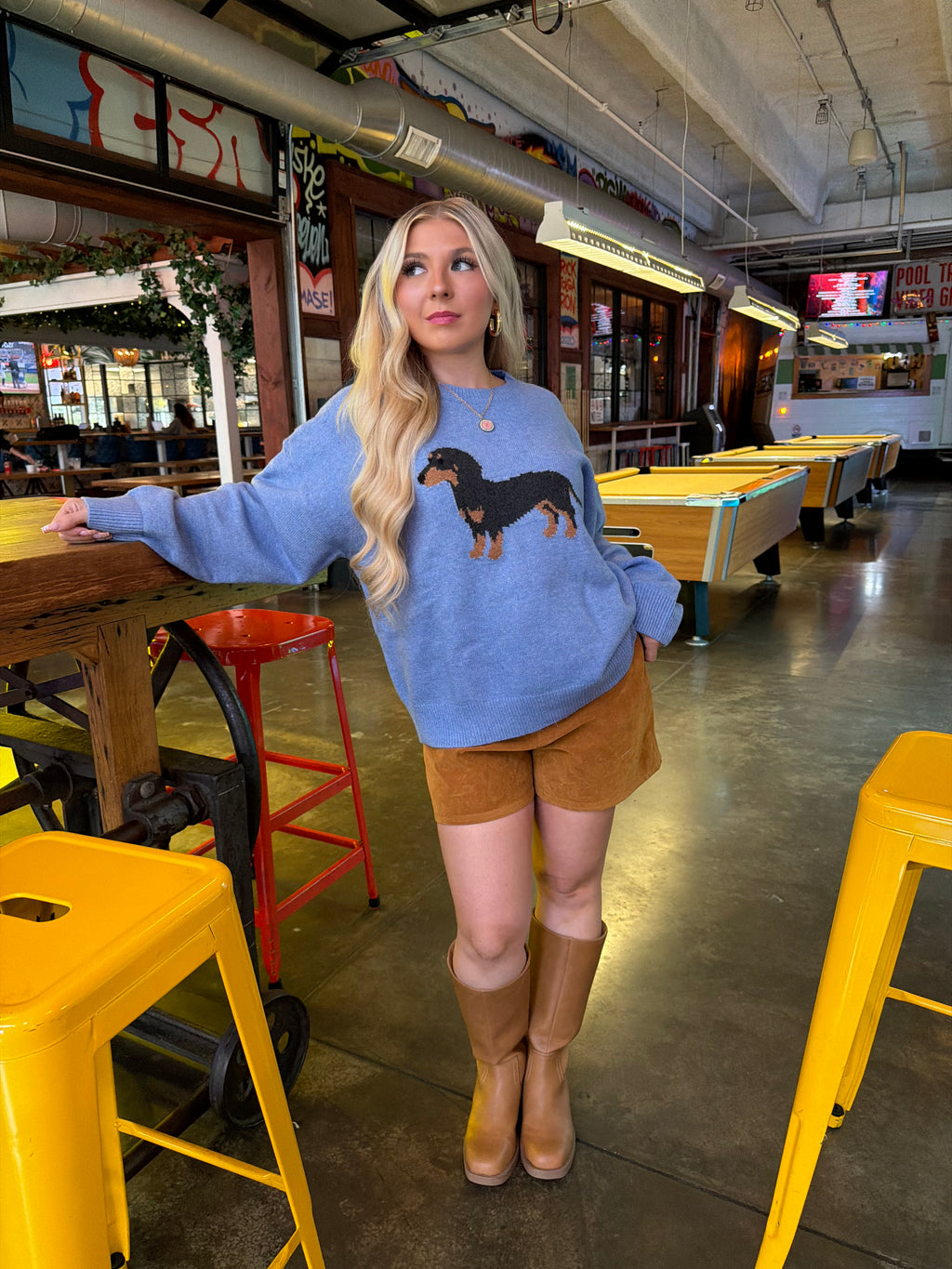 Hot Dog Baby Blue Sweater