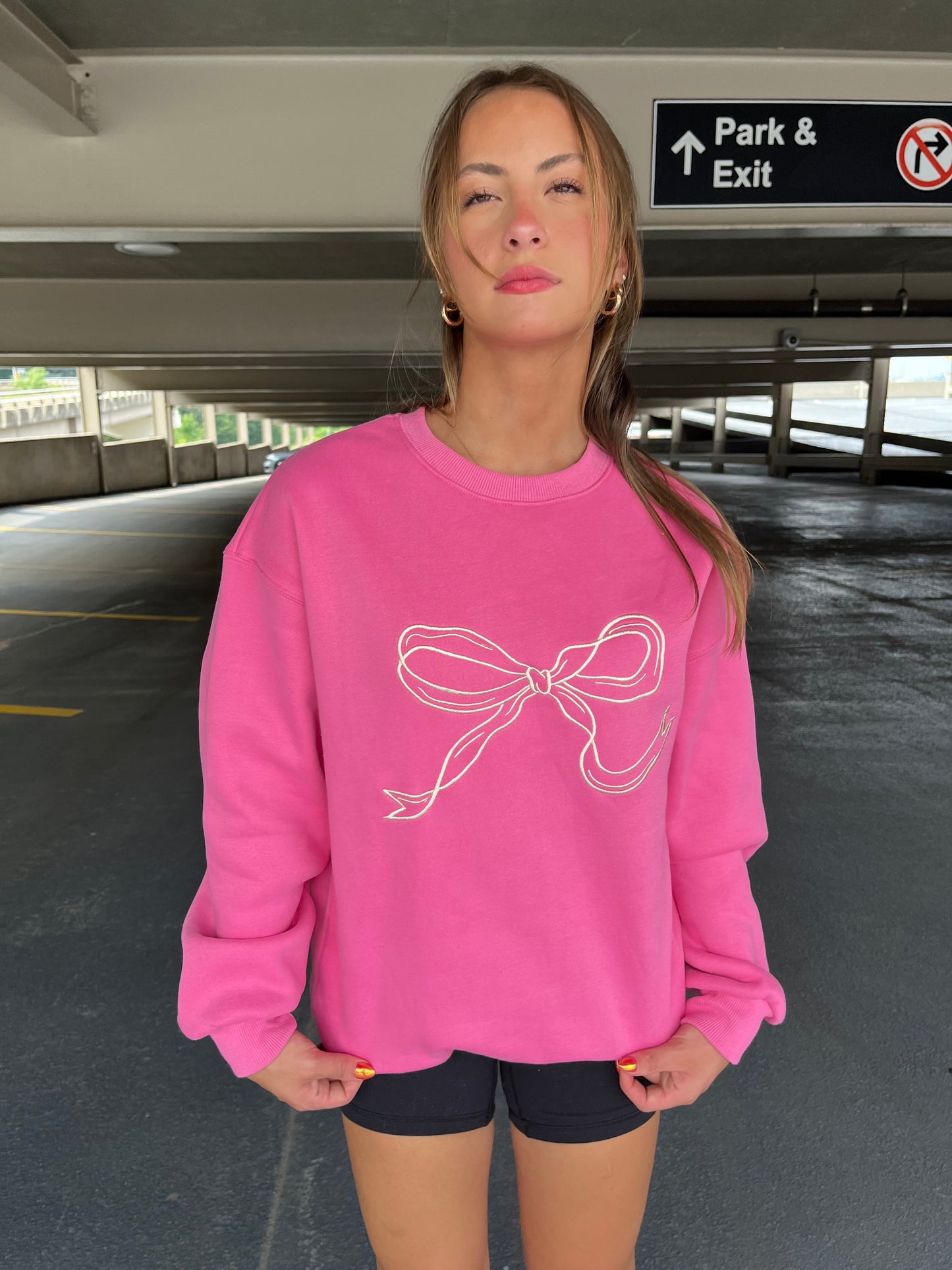 Embroidered Ribbon Sweatshirt in Pink