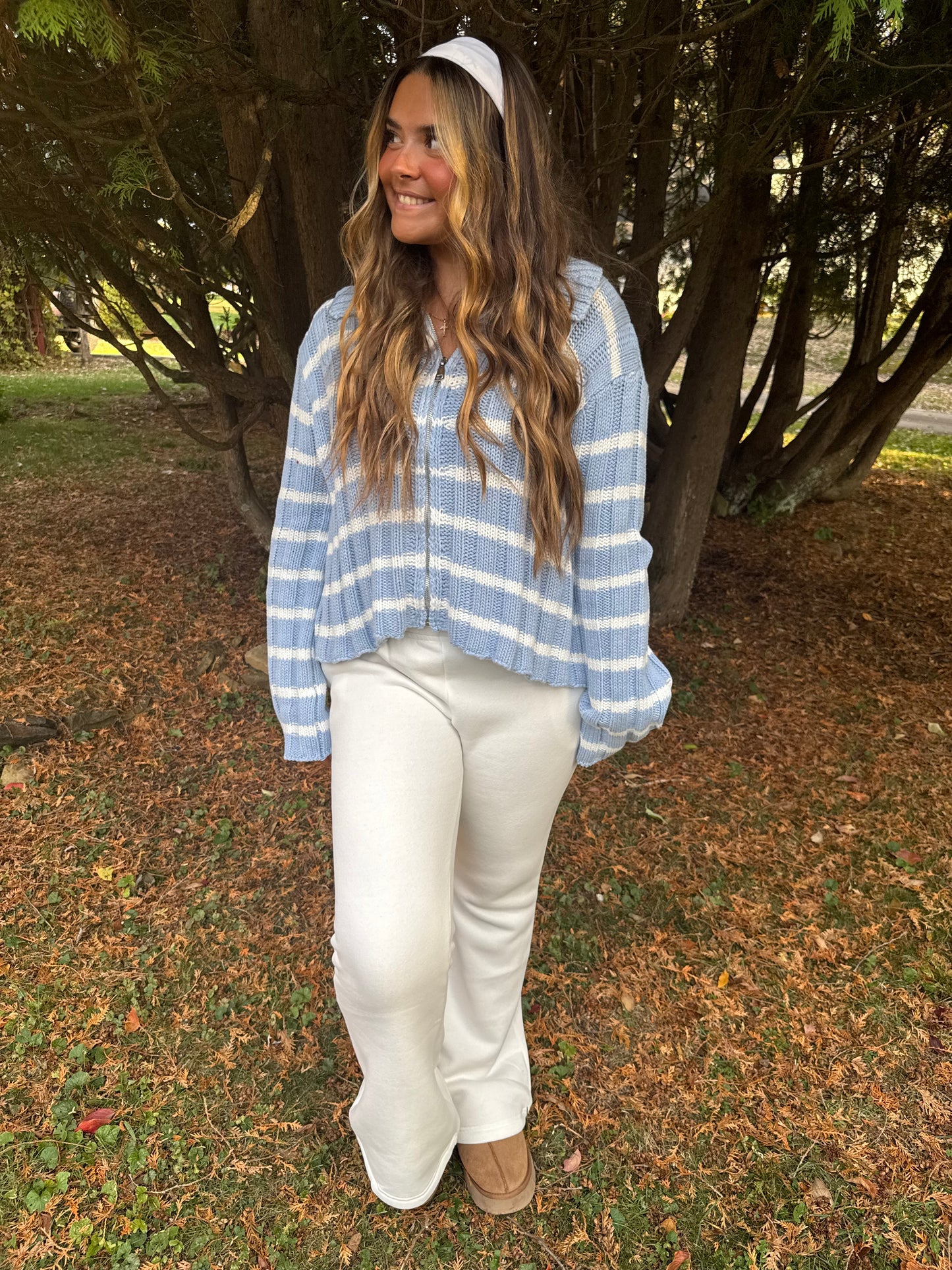 Winter Wonderland Zip