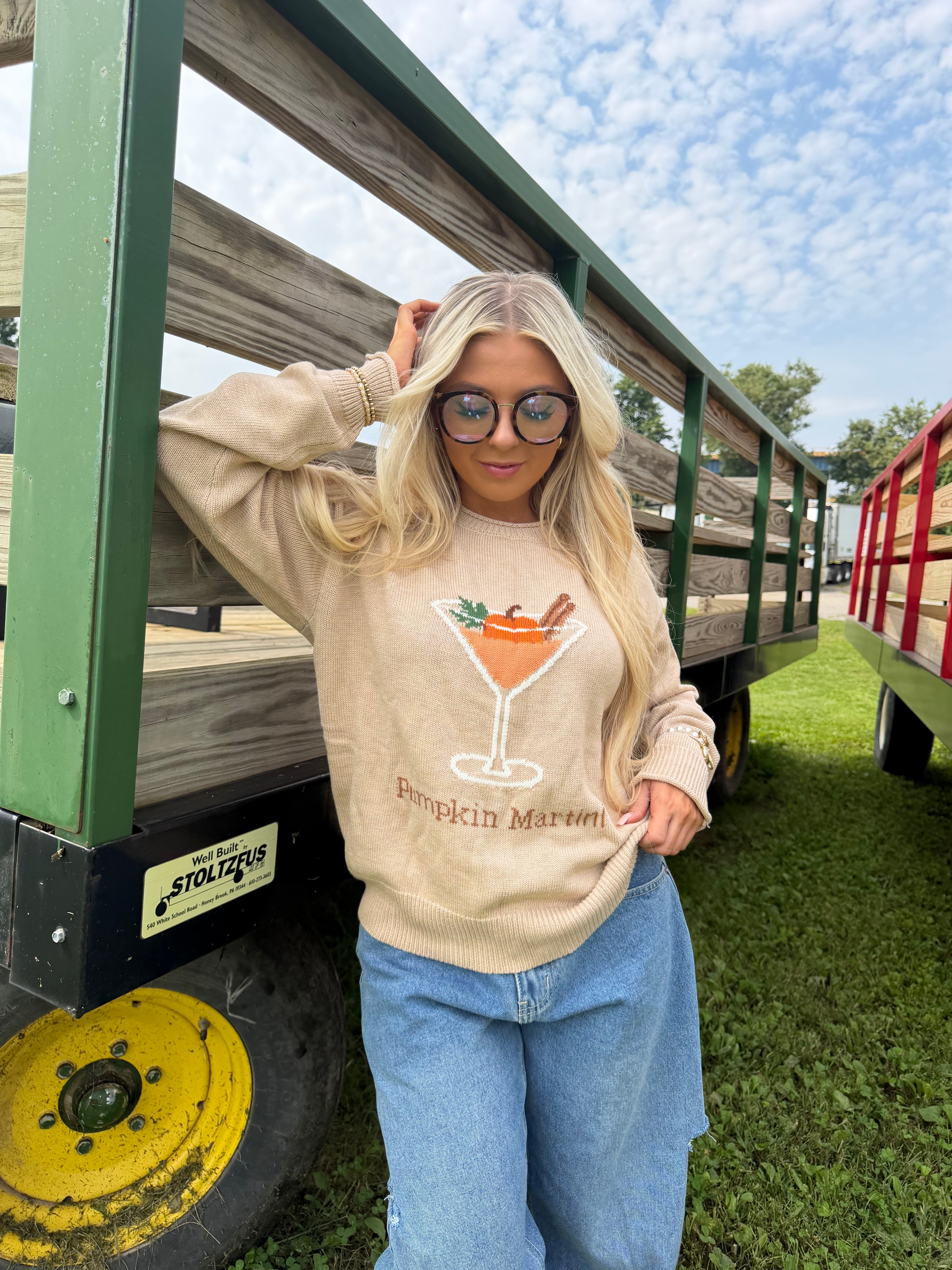 Pumpkin Martini Sweater FINAL SALE