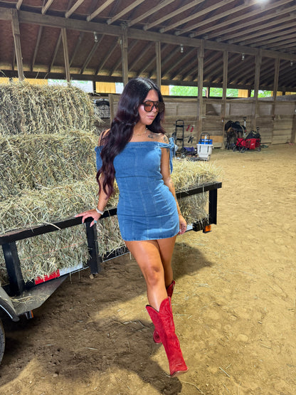 Melissa Tie Denim Dress