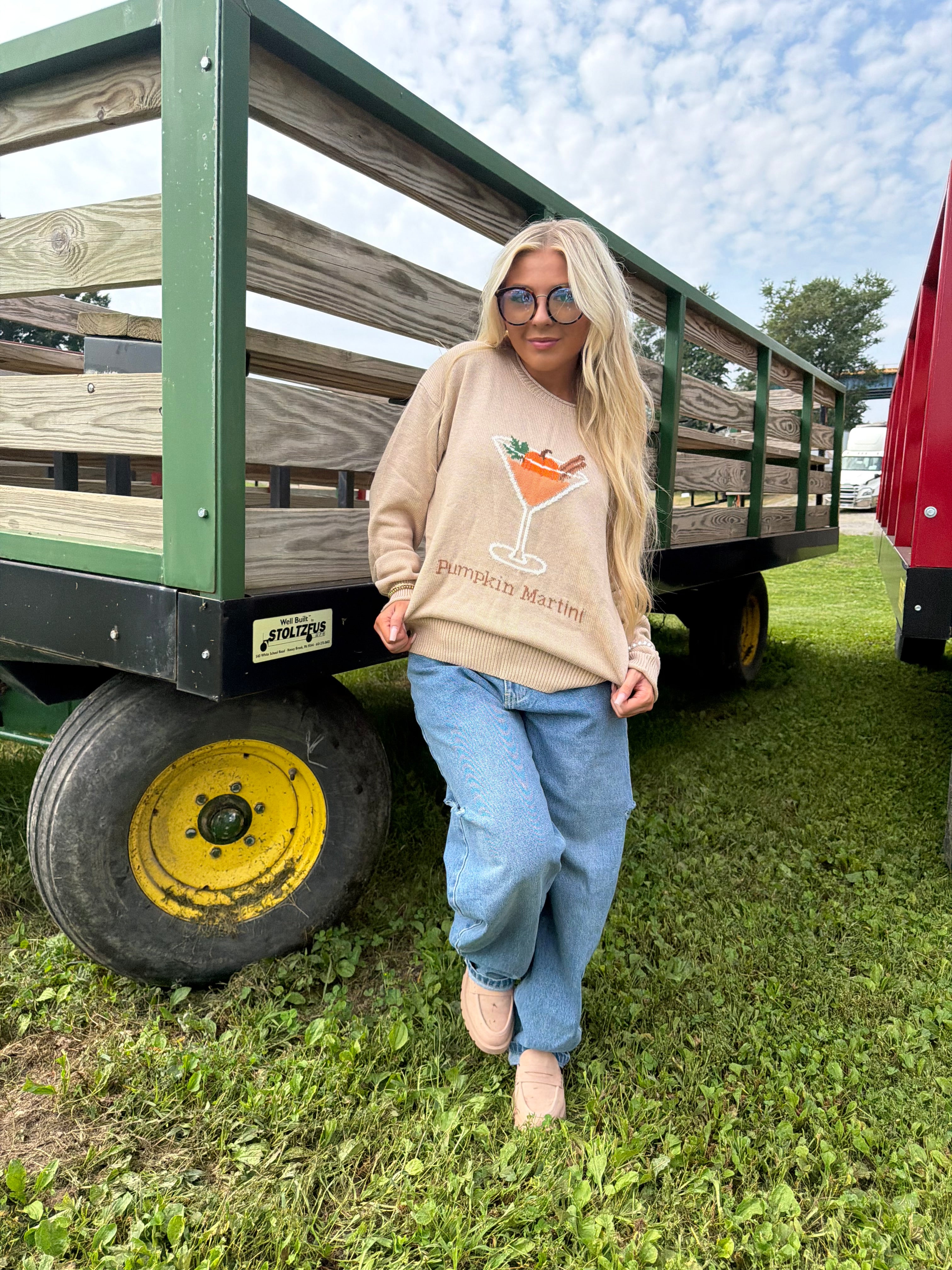 Pumpkin Martini Sweater FINAL SALE