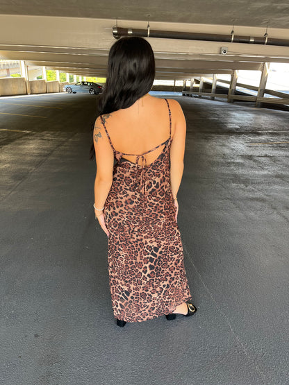 Kitty Cat Maxi Dress