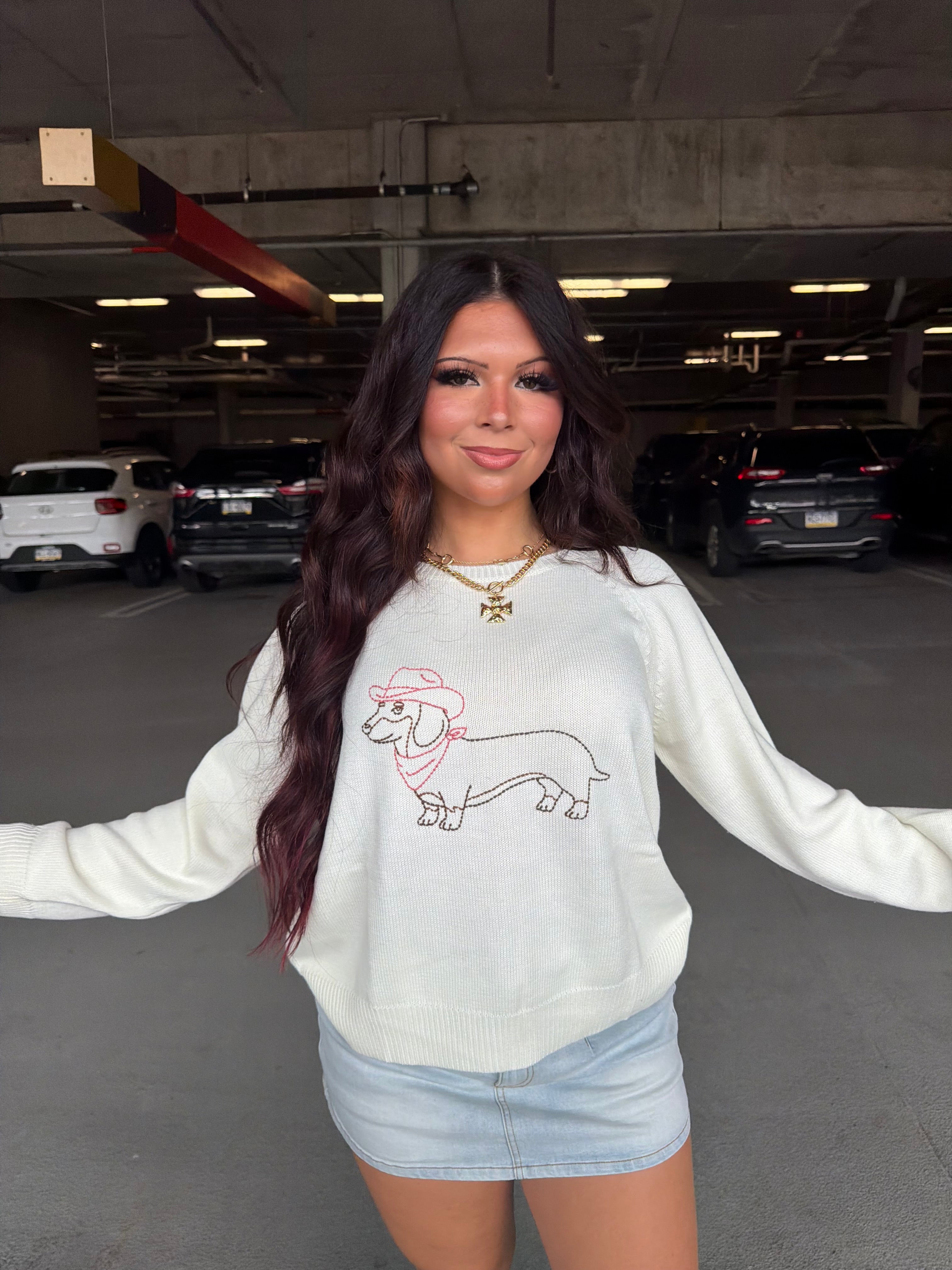 Howdy Weenie Sweater