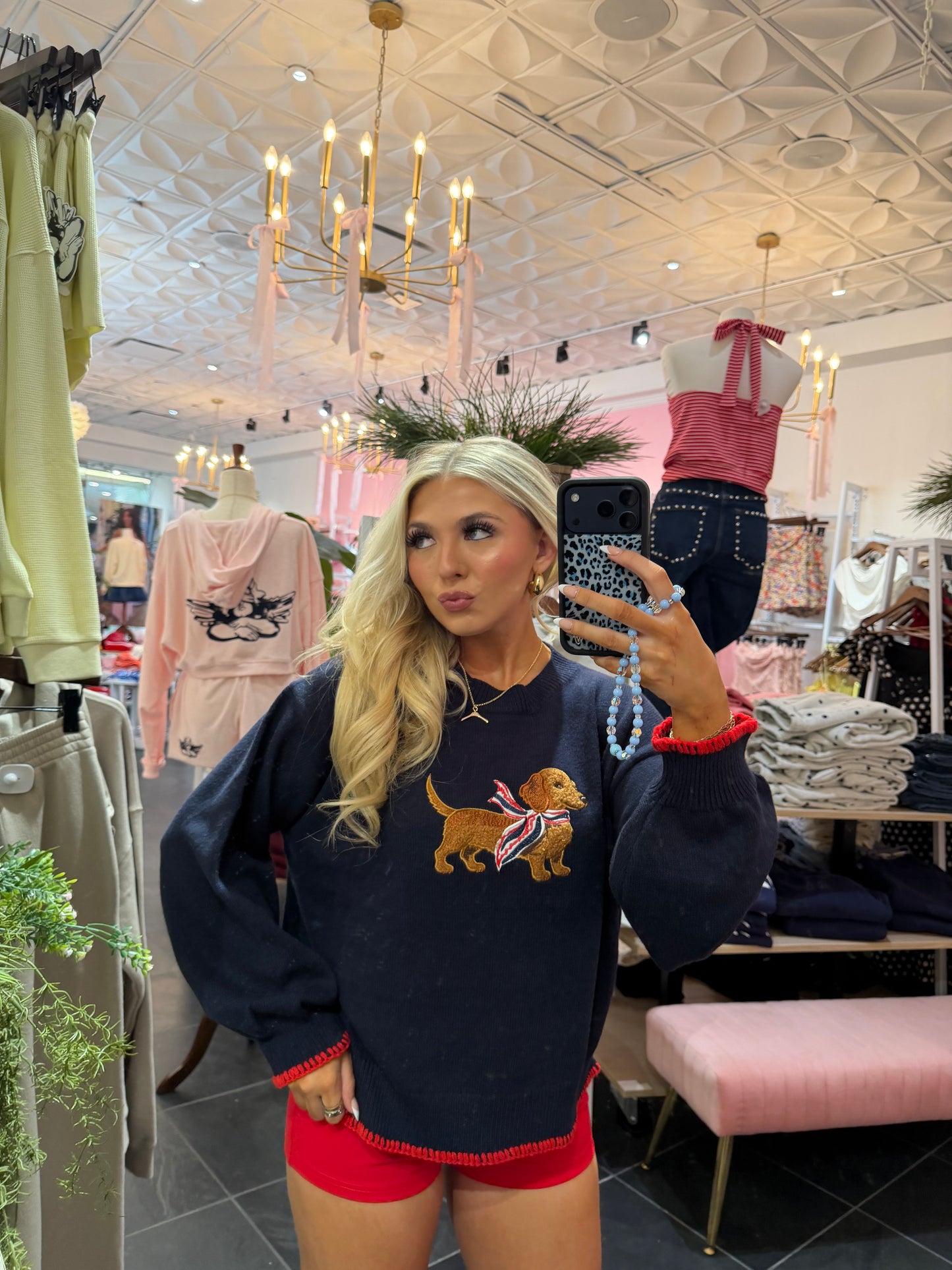 Patriotic Weenie Sweater
