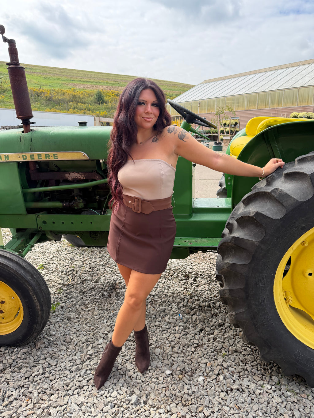 Brookie Choc Suede Dress