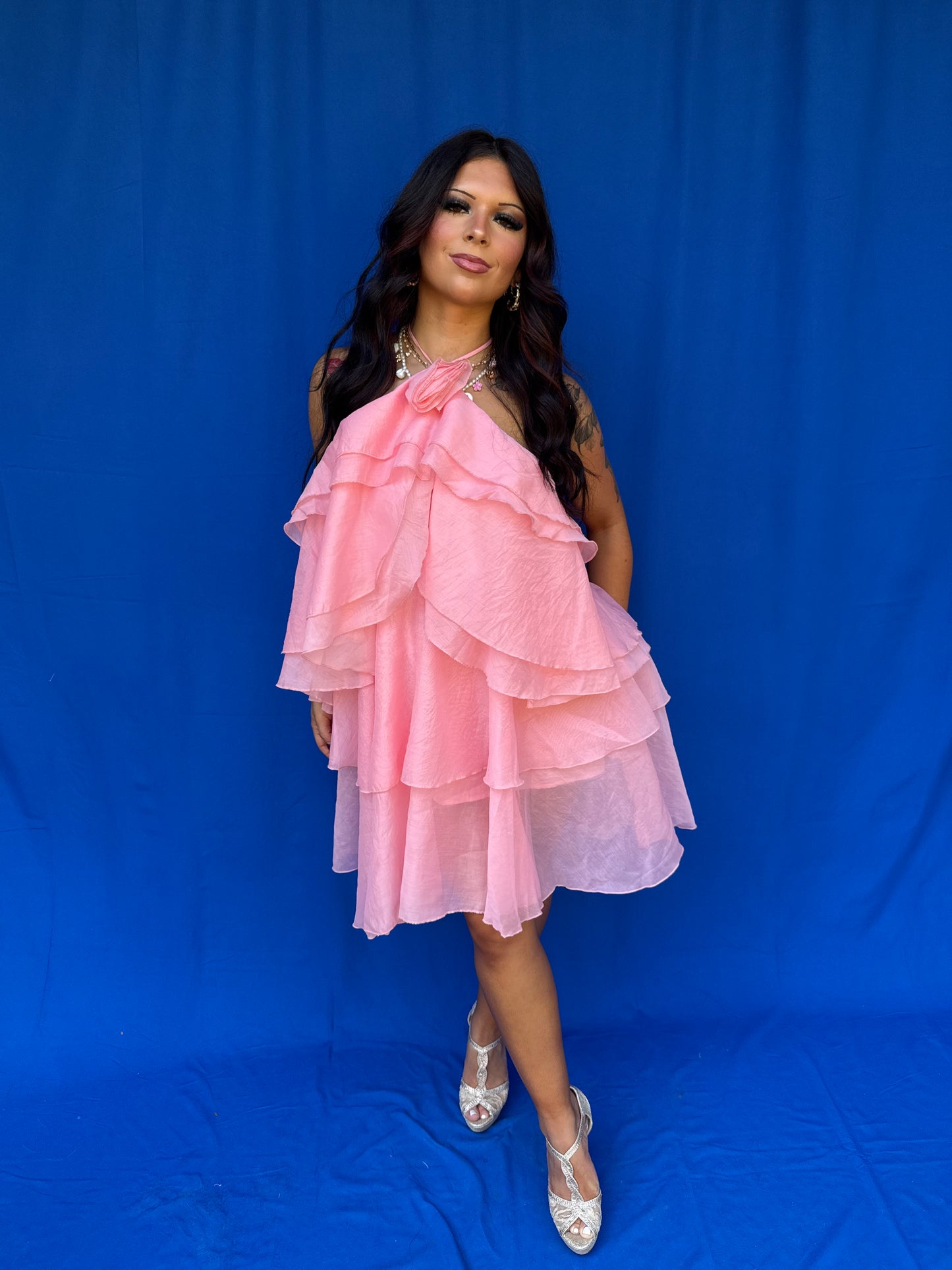 A Man’s Best Friend Dress