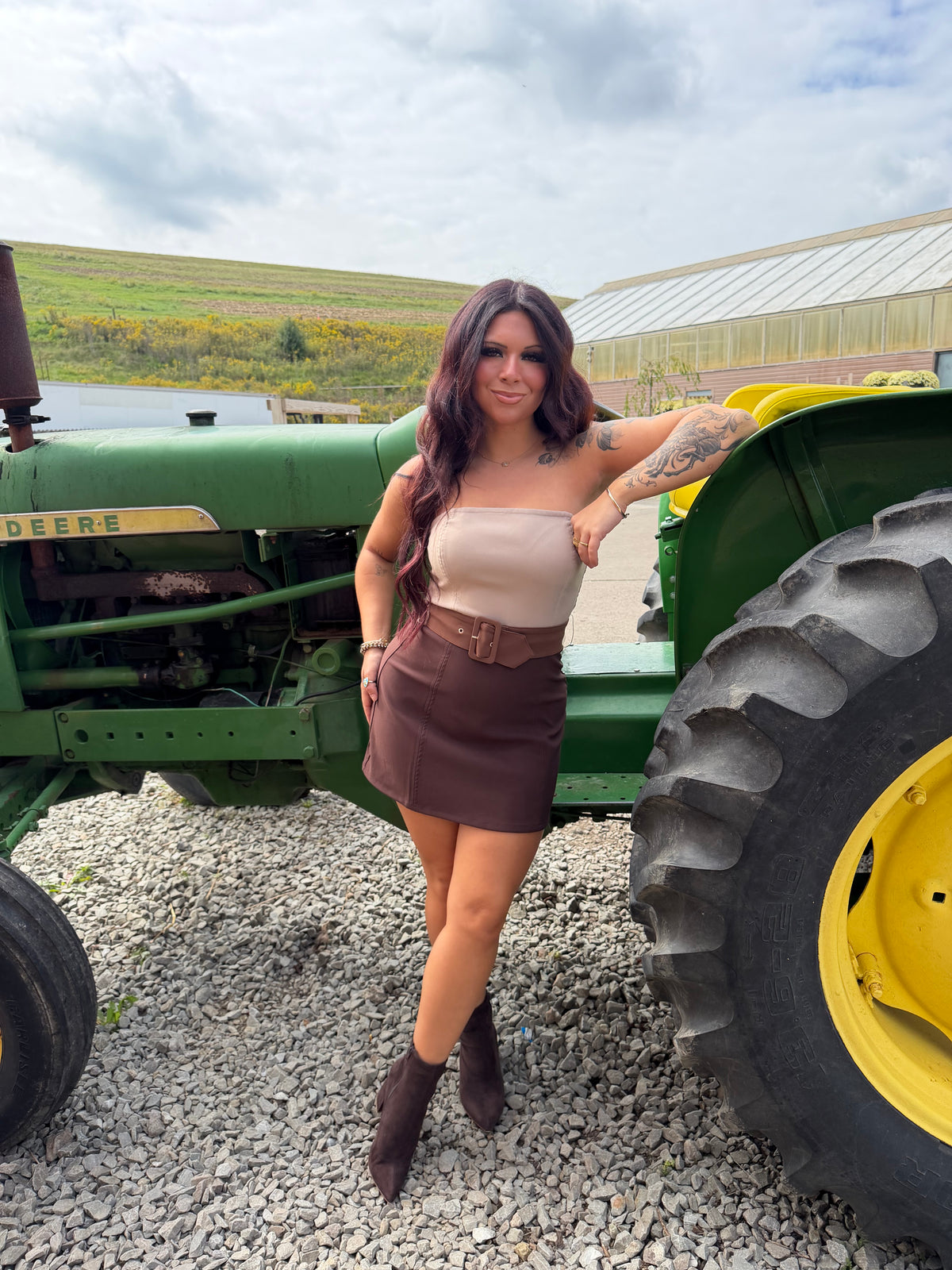 Brookie Choc Suede Dress