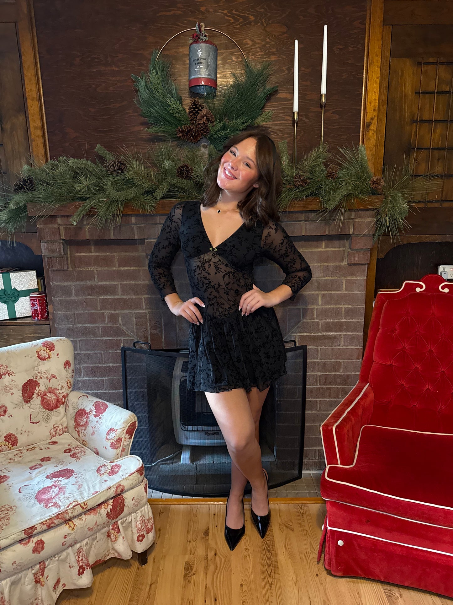 Silver Springs See-Though Dress