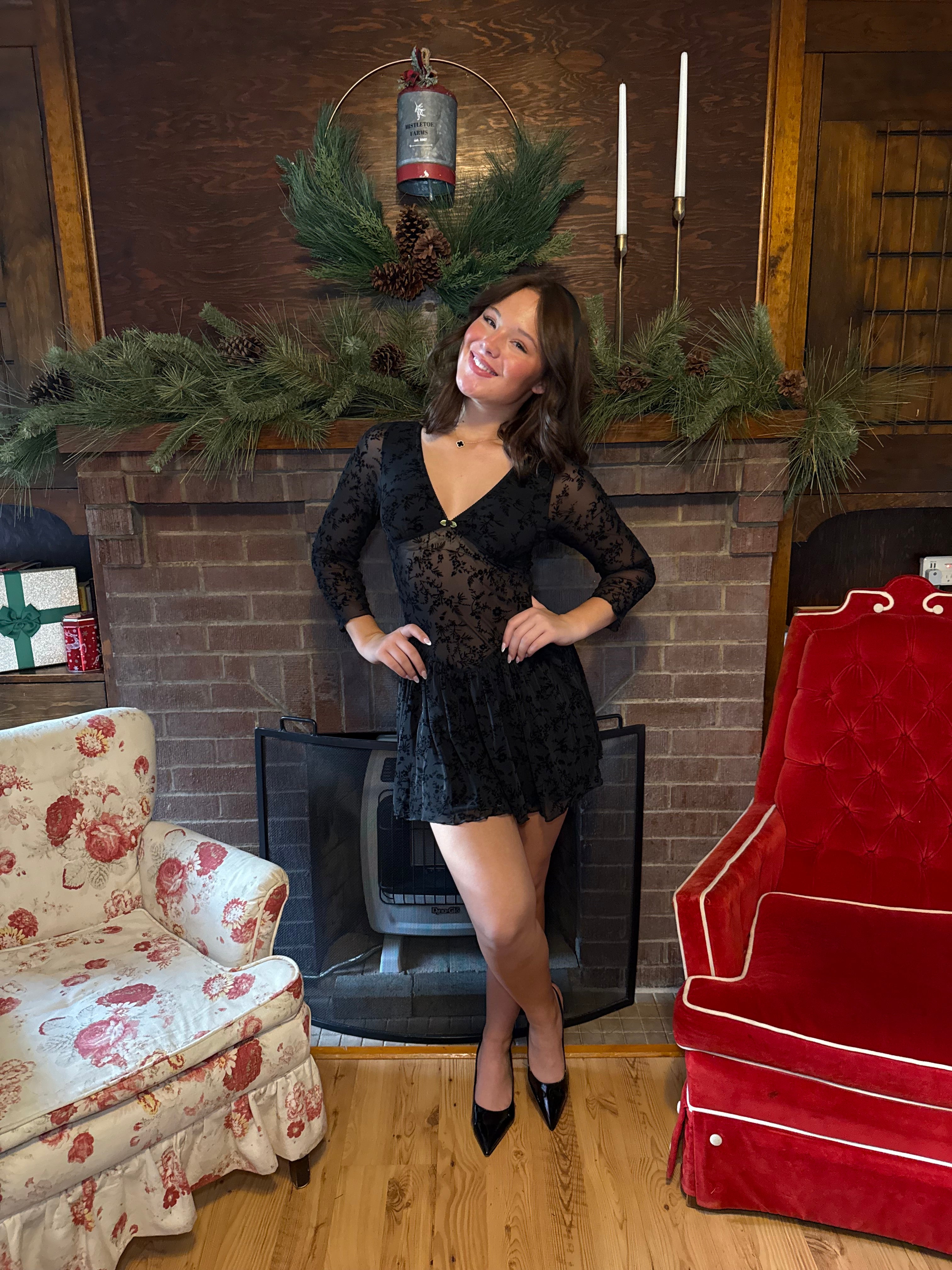 Silver Springs See-Though Dress