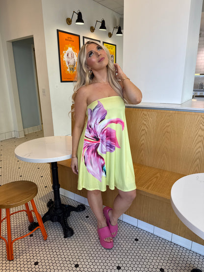 Spring Works Mini Dress