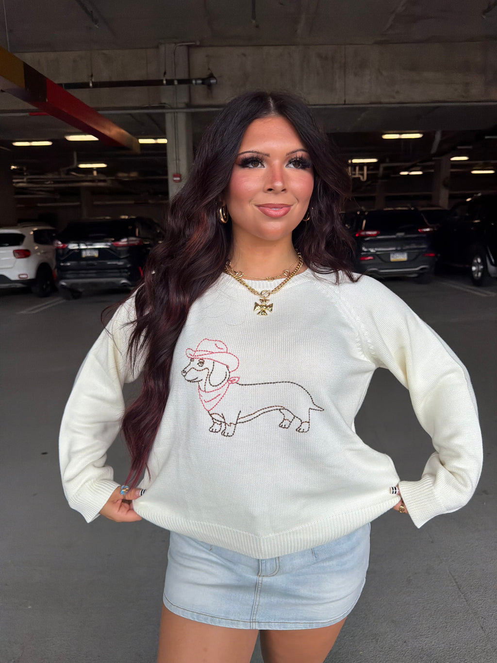 Howdy Weenie Sweater