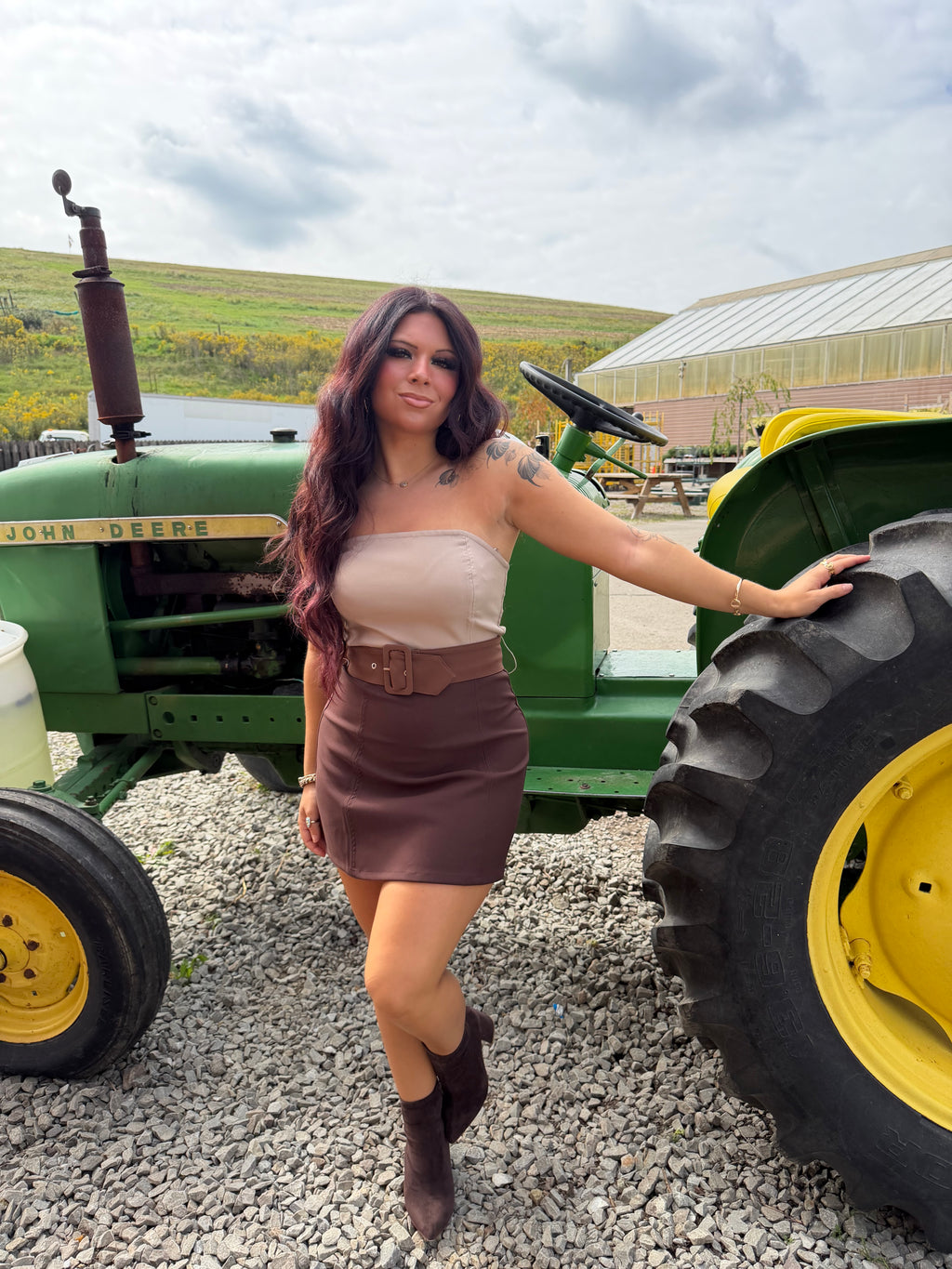 Brookie Choc Suede Dress