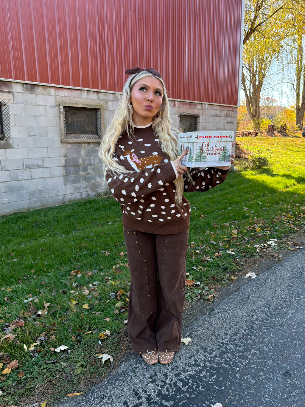 Fawn Doll Sweater