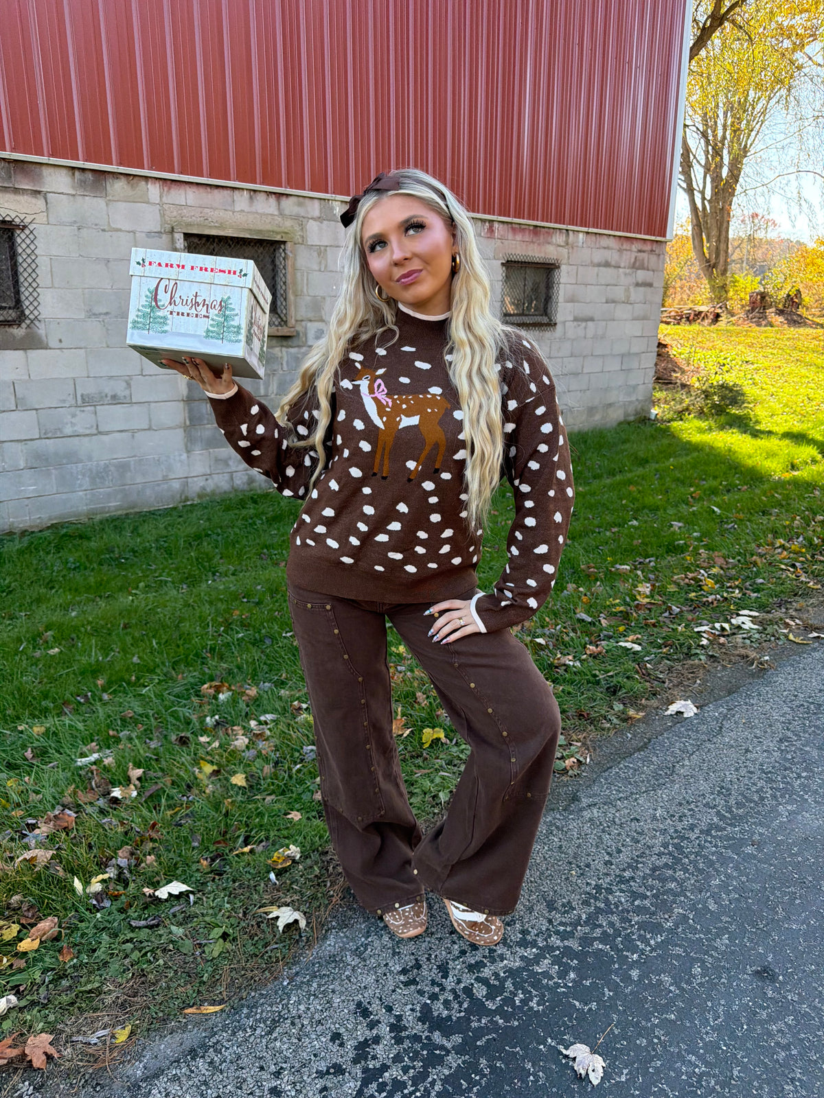 Fawn Doll Sweater