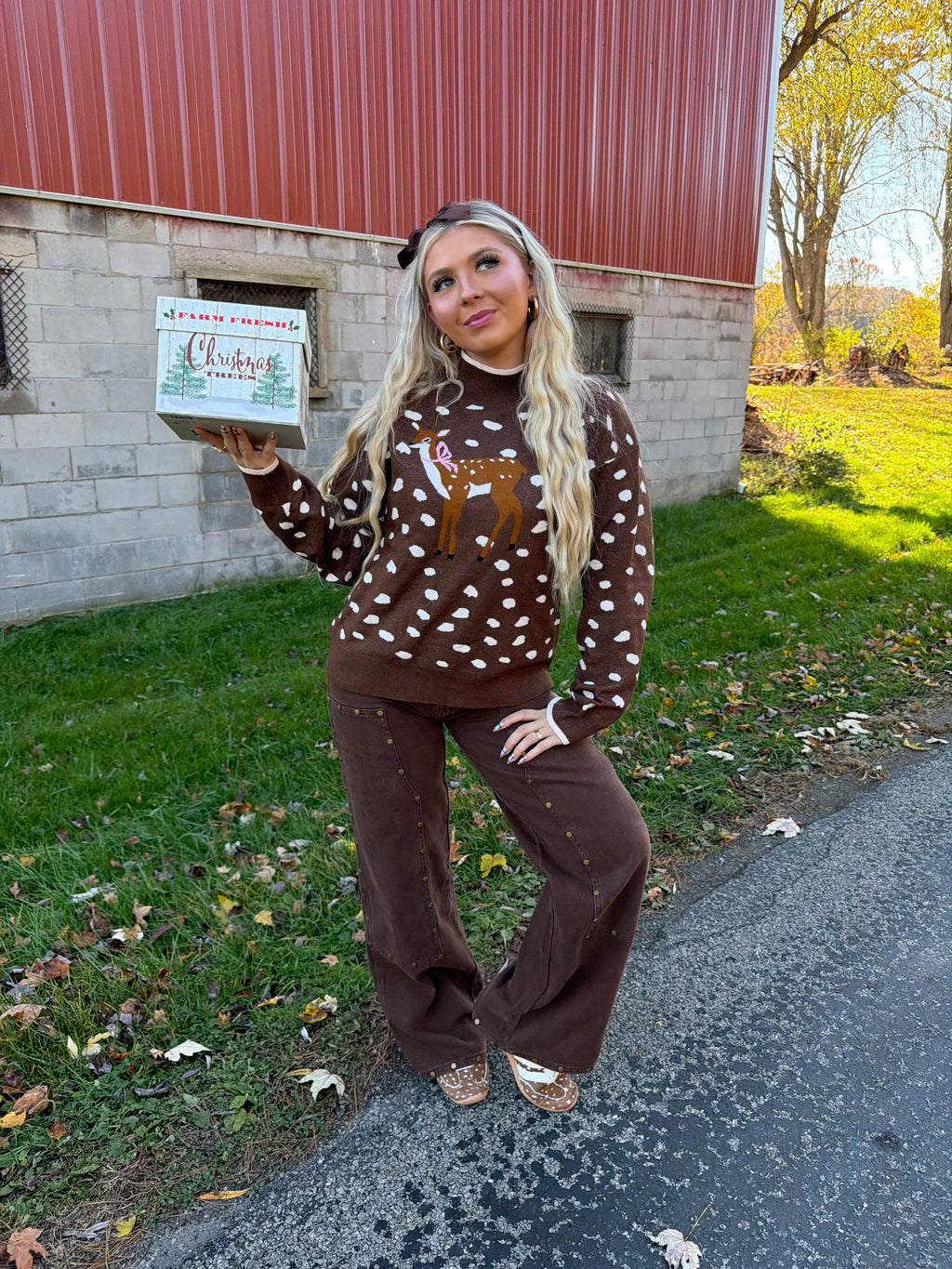 Fawn Doll Sweater