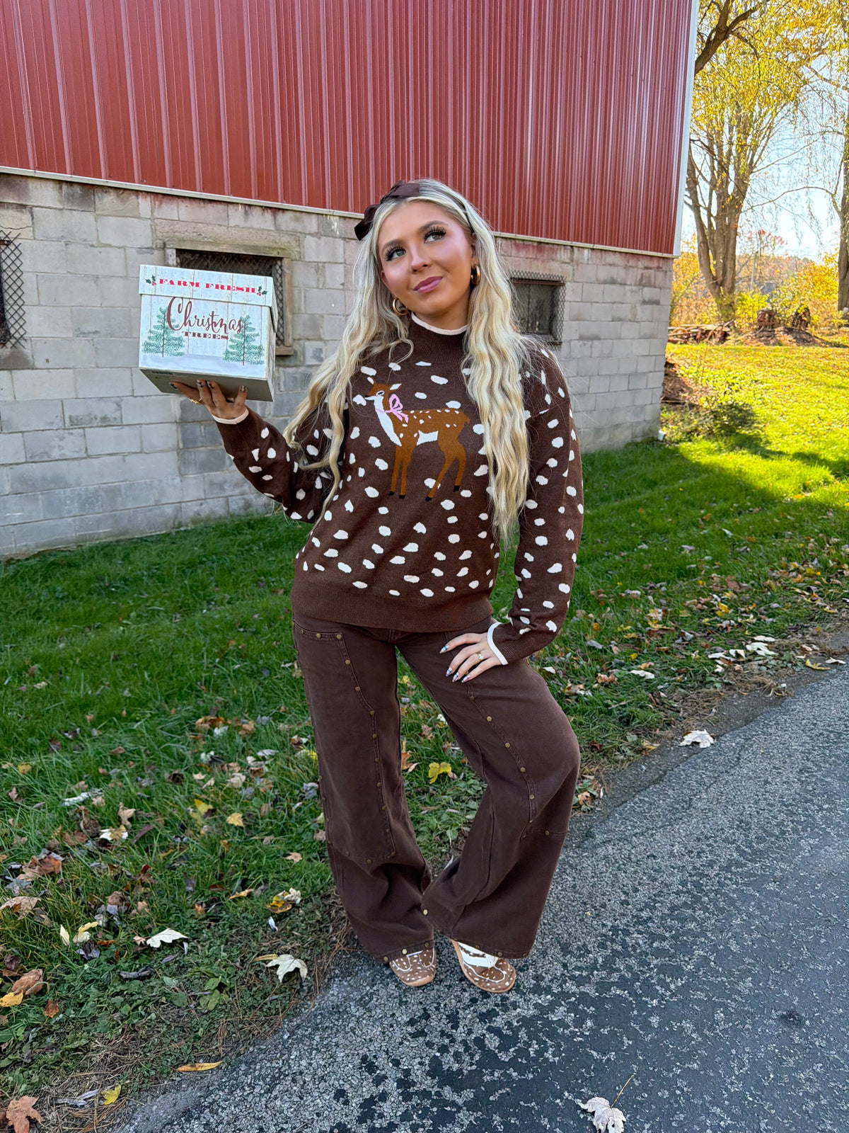 Fawn Doll Sweater