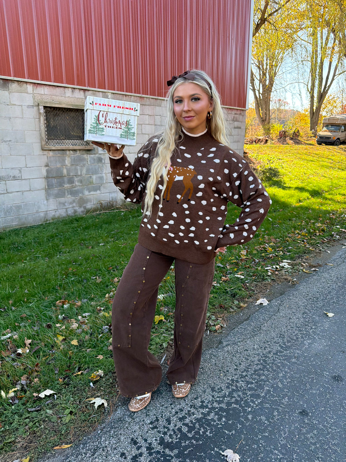 Fawn Doll Sweater